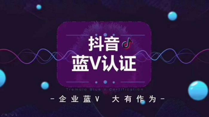 抖音号企业号蓝v认证中个企业号的各个版本区别